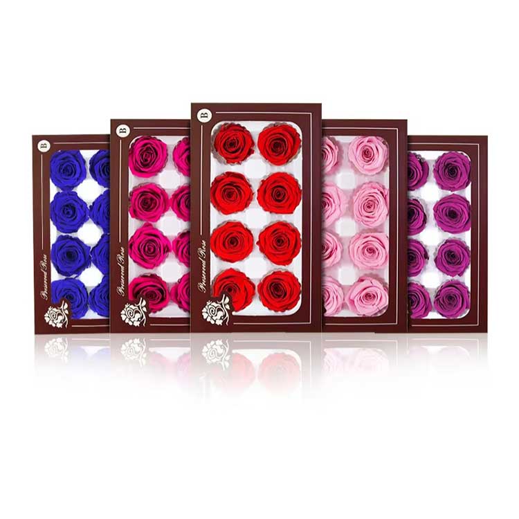 Everlasting Flower 8 kukkaa Rose Gift Box