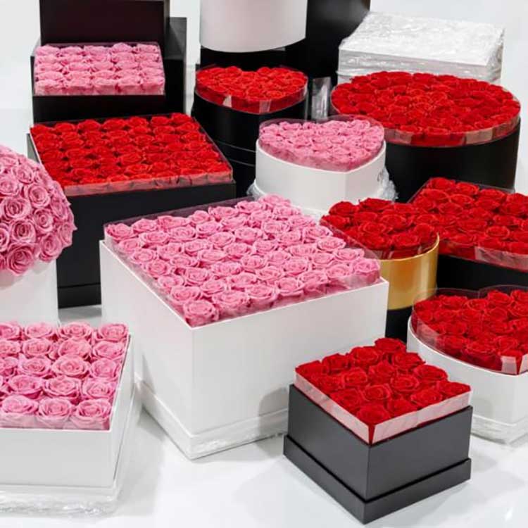 Säilötty kukka-halausämpäri